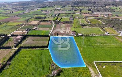 ÇEŞME MUSALLADA 8.128 m2 65 METRE YOLA CEPHELİ SATILIK TARLA