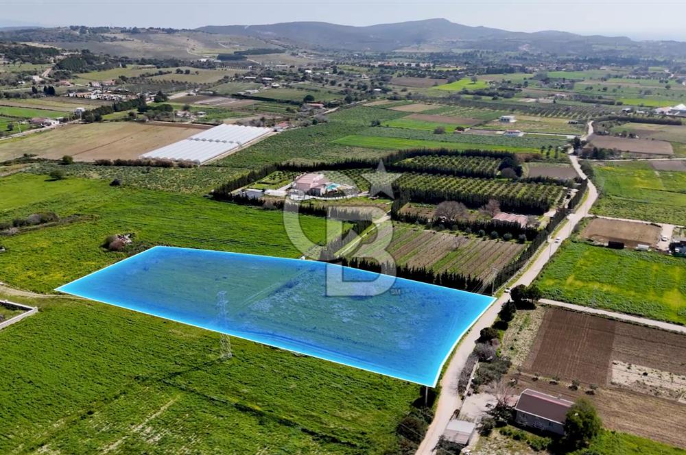 ÇEŞME MUSALLADA 8.128 m2 65 METRE YOLA CEPHELİ SATILIK TARLA