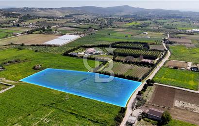 ÇEŞME MUSALLADA 8.128 m2 65 METRE YOLA CEPHELİ SATILIK TARLA