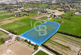 ÇEŞME MUSALLADA 8.128 m2 65 METRE YOLA CEPHELİ SATILIK TARLA