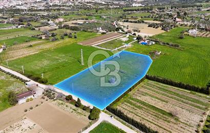 ÇEŞME MUSALLADA 8.128 m2 65 METRE YOLA CEPHELİ SATILIK TARLA