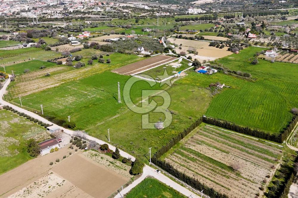 ÇEŞME MUSALLADA 8.128 m2 65 METRE YOLA CEPHELİ SATILIK TARLA