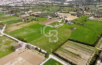 ÇEŞME MUSALLADA 8.128 m2 65 METRE YOLA CEPHELİ SATILIK TARLA
