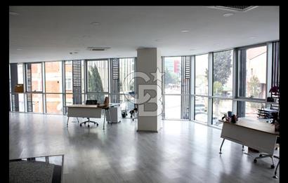 MALTEPE E5'TE 1200 M2 ALTERNATİFSİZ İSKANLI SATILIK A+PLAZA