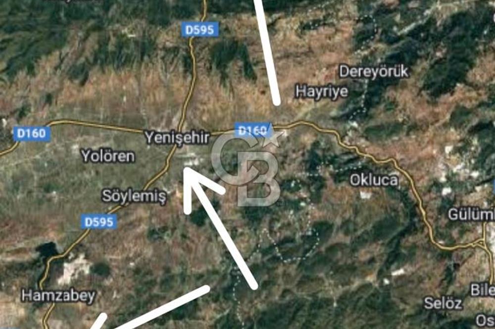 CB CITY'DEN BİLECİK PAZARYERİ FIRANLAR'DA SATILIK KELEPİR TARLA