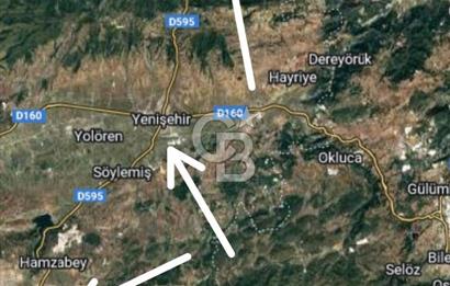 CB CITY'DEN BİLECİK PAZARYERİ FIRANLAR'DA SATILIK KELEPİR TARLA