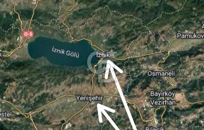 CB CITY'DEN BİLECİK PAZARYERİ FIRANLAR'DA SATILIK KELEPİR TARLA