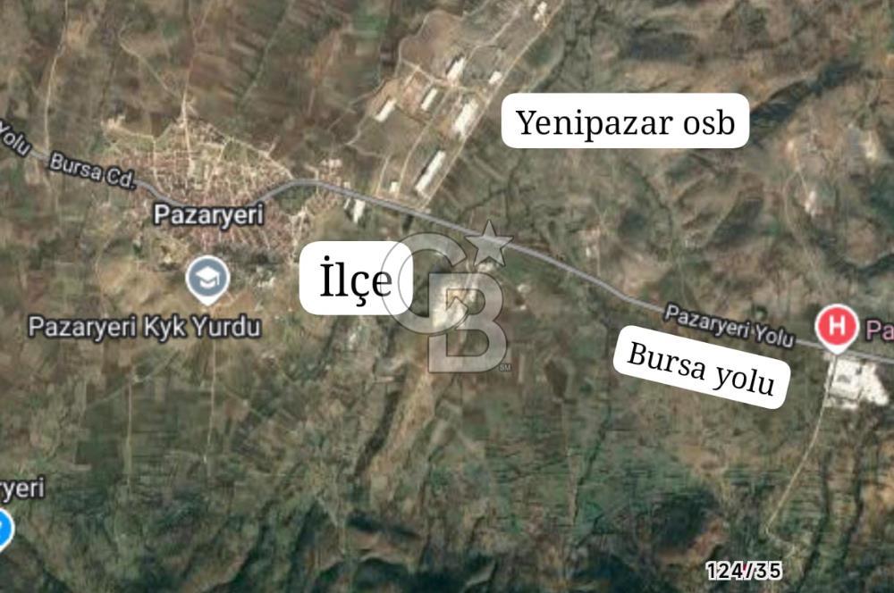 CB CITY'DEN BİLECİK PAZARYERİ FIRANLAR'DA SATILIK KELEPİR TARLA