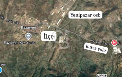 CB CITY'DEN BİLECİK PAZARYERİ FIRANLAR'DA SATILIK KELEPİR TARLA
