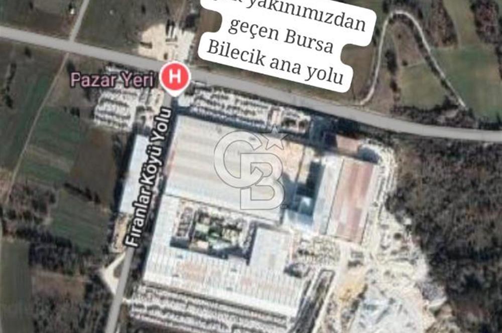 CB CITY'DEN BİLECİK PAZARYERİ FIRANLAR'DA SATILIK KELEPİR TARLA