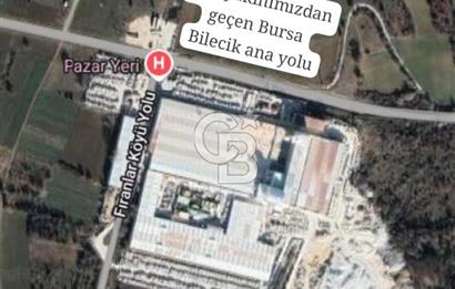 CB CITY'DEN BİLECİK PAZARYERİ FIRANLAR'DA SATILIK KELEPİR TARLA