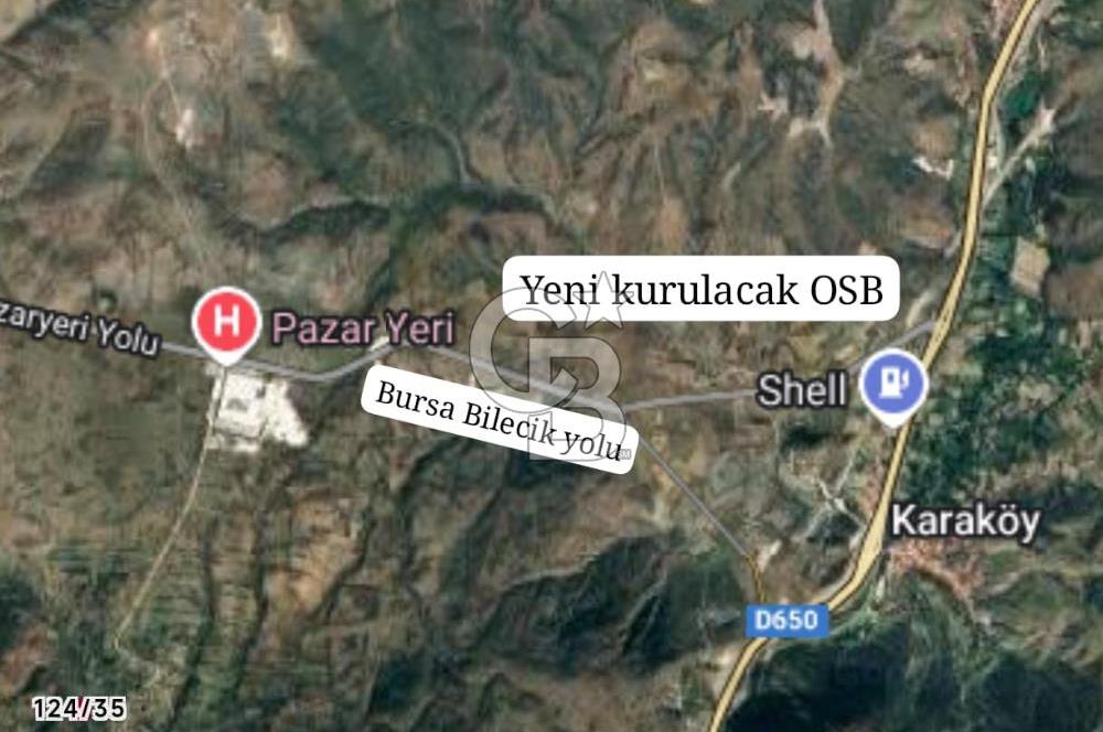 CB CITY'DEN BİLECİK PAZARYERİ FIRANLAR'DA SATILIK KELEPİR TARLA