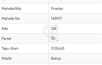 CB CITY'DEN BİLECİK PAZARYERİ FIRANLAR'DA SATILIK KELEPİR TARLA