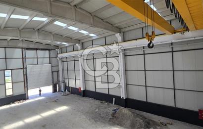 Kiralık Fabrika & Üretim Tesisi 750 m², 100 KW, 10 Ton Vinç