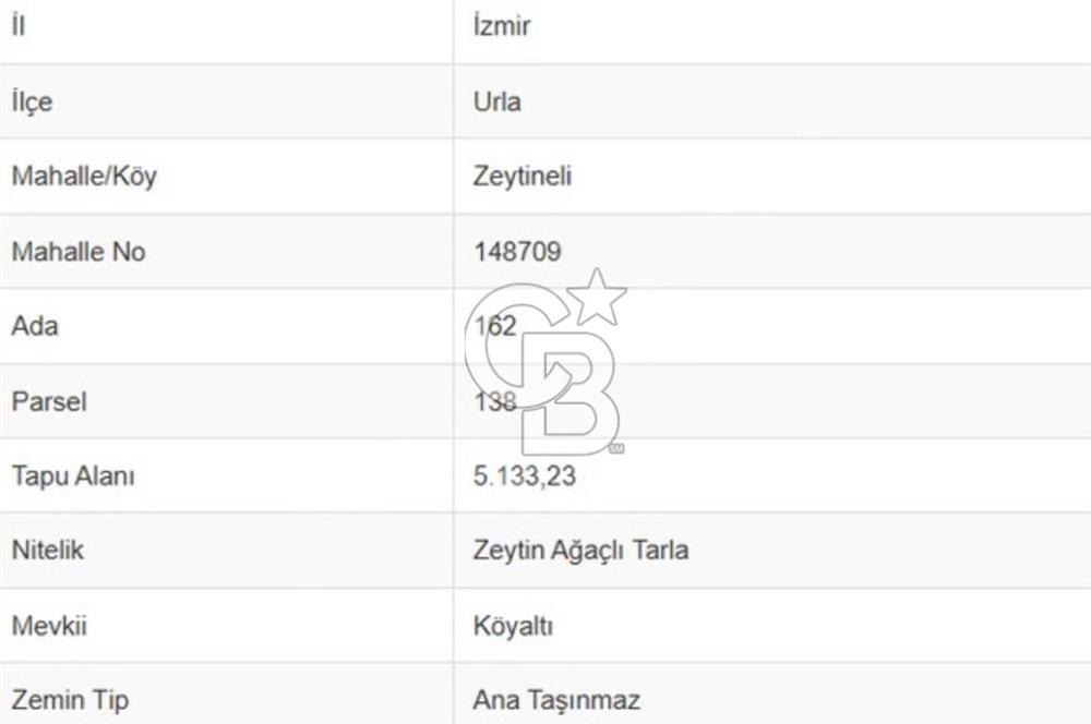 URLA ZEYTİNELİ KÖYÜNDE 750 M² SATILIK TARLA