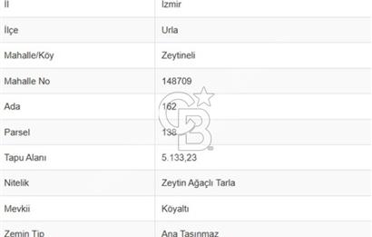 URLA ZEYTİNELİ KÖYÜNDE 750 M² SATILIK TARLA