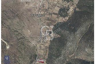 URLA ZEYTİNELİ KÖYÜNDE 750 M² SATILIK TARLA