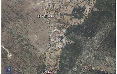 URLA ZEYTİNELİ KÖYÜNDE 750 M² SATILIK TARLA