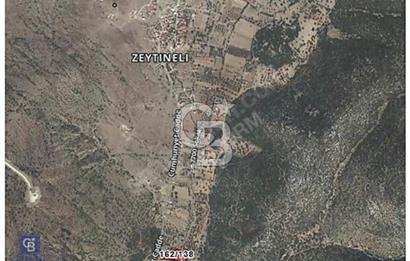 URLA ZEYTİNELİ KÖYÜNDE 750 M² SATILIK TARLA
