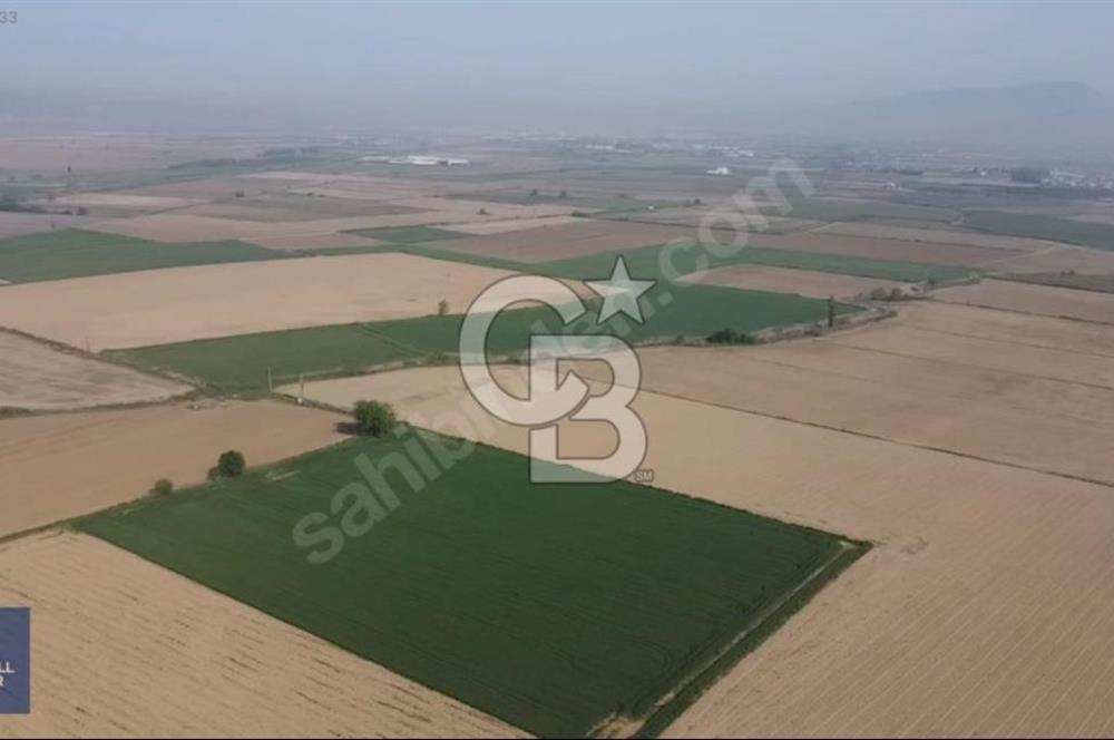 TORBALI PAMUKYAZINDA 150 DÖNÜM SATILIK TARLA