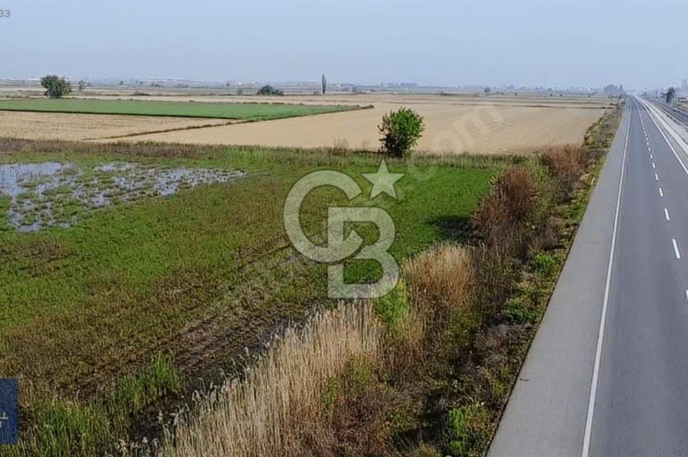 TORBALI PAMUKYAZINDA 50 DÖNÜM SATILIK TARLA