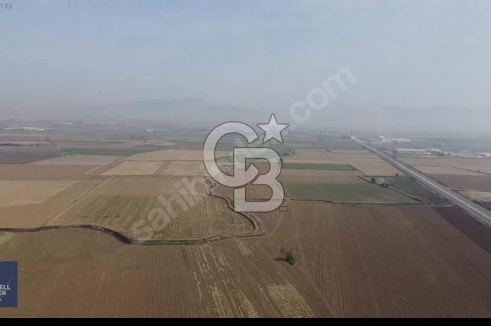 TORBALI PAMUKYAZINDA 70 DÖNÜM TARLA