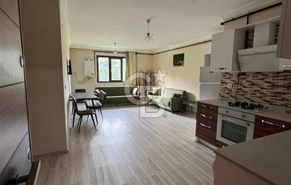 PELİTLİDE SİTE İÇERİSİNDE 1+1 EŞYALI KİRALIK DAİRE
