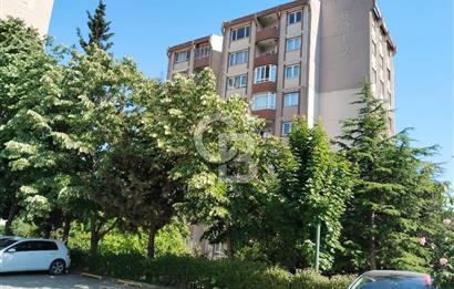 Mutlukent Göl Bloklarında Kiralık 3+1 Arakat Daire