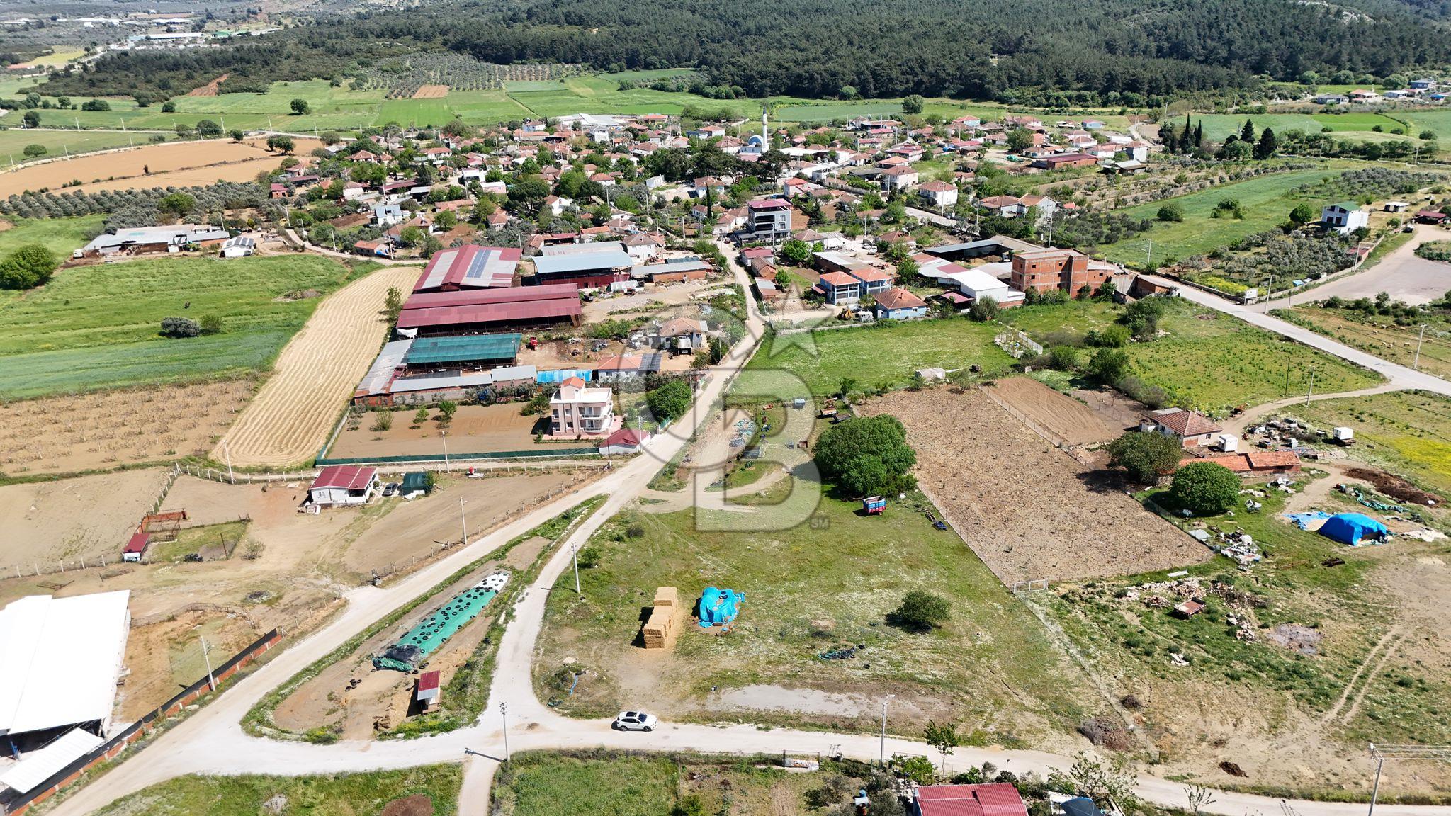 Yola Cephe Satılık Tarla