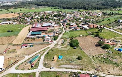 Yola Cephe Satılık Tarla