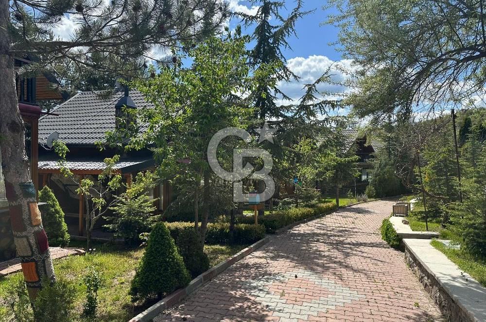 Ankara Çamlıdere Özen Ahşap Evler Satılık 2+1 Müstakil Ev
