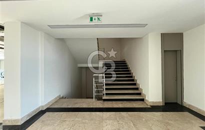 Bahçeşehir Parkway AVM Ana Cadde 38M² Net Kiralık Ofis İş Yeri