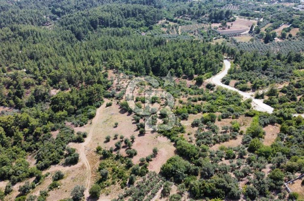 EKŞİLİ’DE HARİKA KONUMDA İMARLI SATILIK FIRSAT ARSA