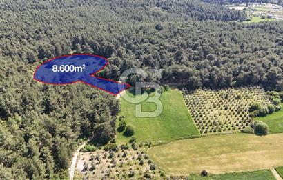 Orman ile iç içe Satılık Tarla