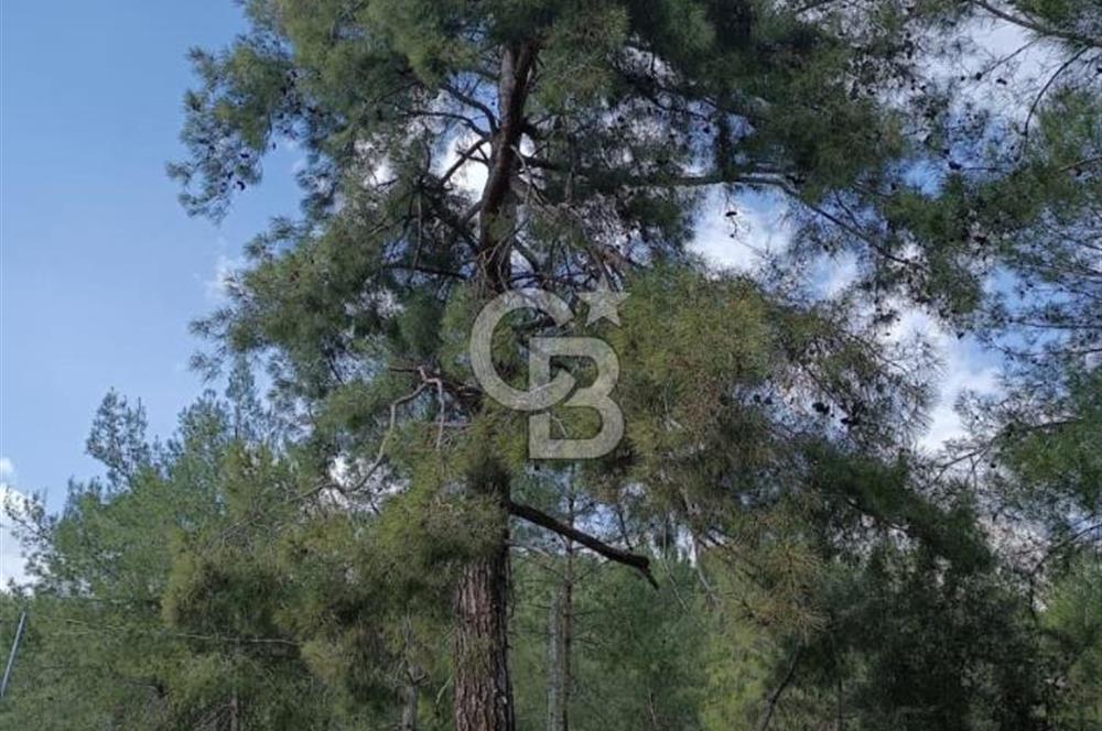 ANTALYA KONYAALTI DOYRAN'DA GÖLE YAKIN SATILIK FIRSAT ARSA
