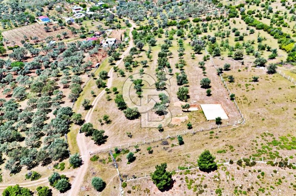 KEMALPAŞA SÜTÇÜLER'DE YOL CEPHELİ SATILIK ARAZİ