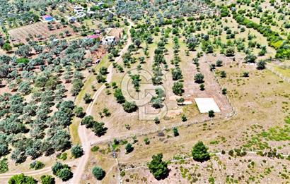 KEMALPAŞA SÜTÇÜLER'DE YOL CEPHELİ SATILIK ARAZİ