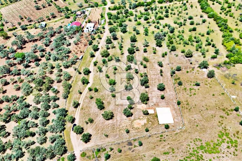 KEMALPAŞA SÜTÇÜLER'DE YOL CEPHELİ SATILIK ARAZİ