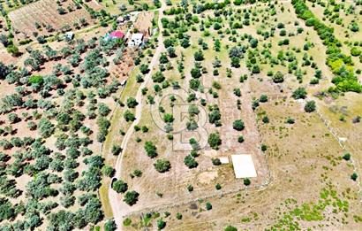 KEMALPAŞA SÜTÇÜLER'DE YOL CEPHELİ SATILIK ARAZİ