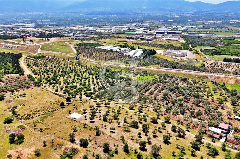 KEMALPAŞA SÜTÇÜLER'DE YOL CEPHELİ SATILIK ARAZİ