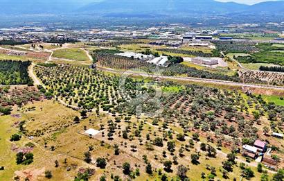 KEMALPAŞA SÜTÇÜLER'DE YOL CEPHELİ SATILIK ARAZİ