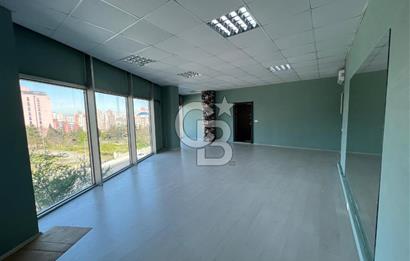 Bahçeşehir Parkway AVM Ana Cadde 38M² Net Kiralık Ofis İş Yeri