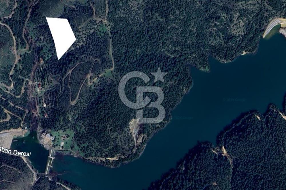 CB Armoni'den Menderes Yeniköy'de Organik Tarım Alanı Zeytinlik 