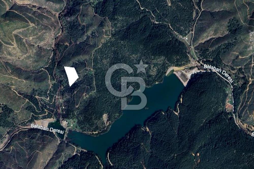 CB Armoni'den Menderes Yeniköy'de Organik Tarım Alanı Zeytinlik 
