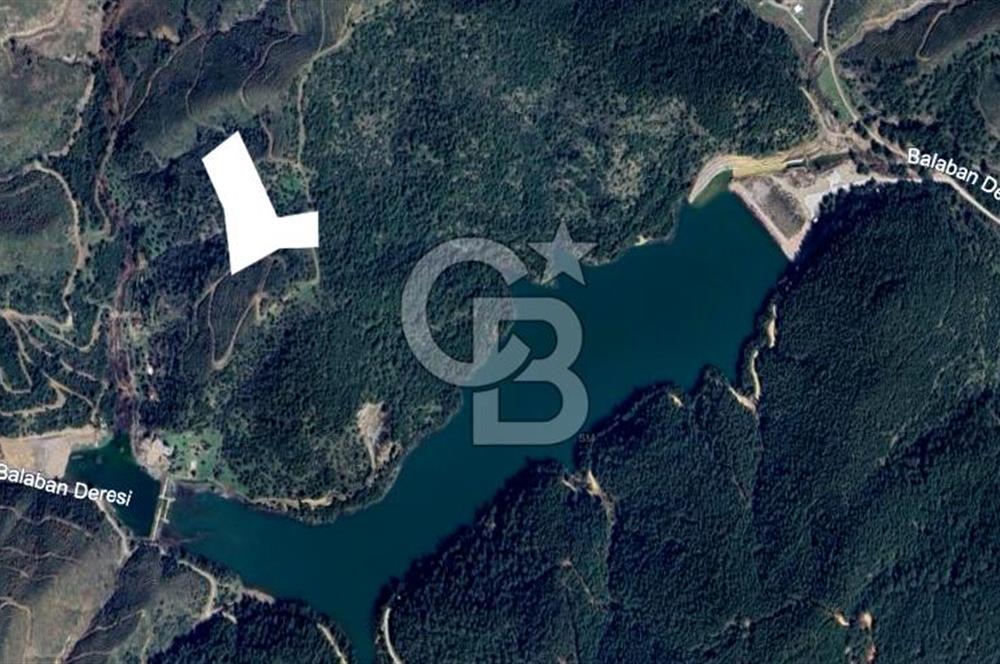 CB Armoni'den Menderes Yeniköy'de 18 Dönüm Zeytin Ağaçlı Tarla