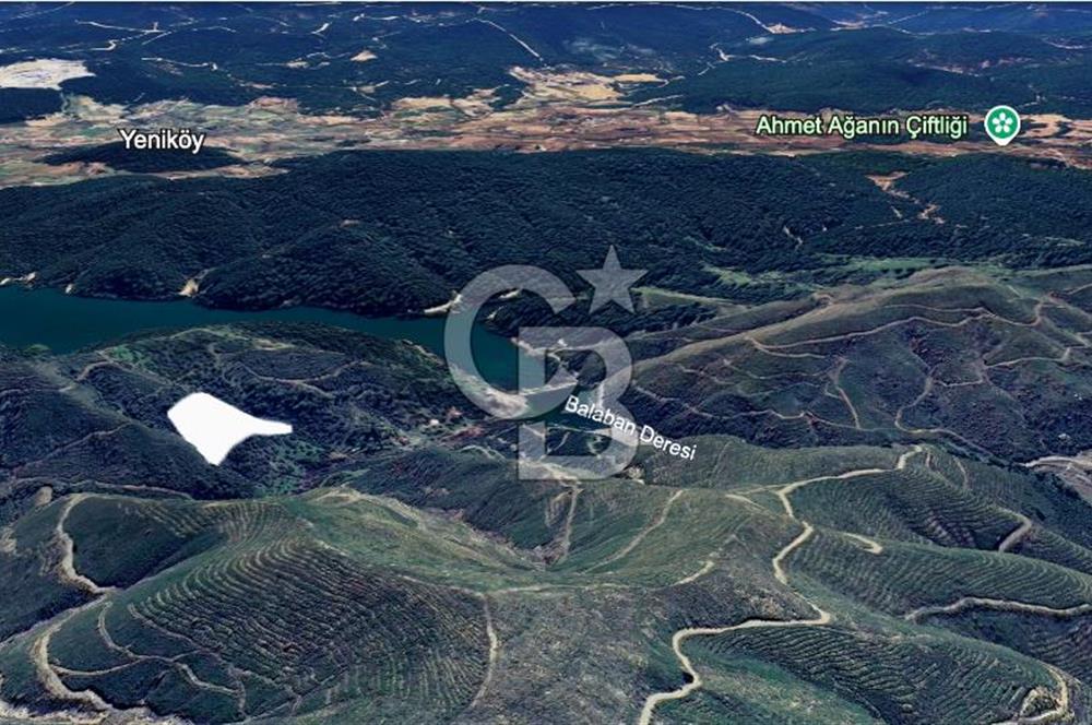 CB Armoni'den Menderes Yeniköy'de Organik Tarım Alanı Zeytinlik 