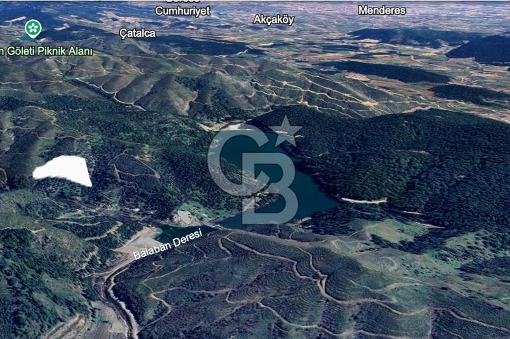 CB Armoni'den Menderes Yeniköy'de Organik Tarım Alanı Zeytinlik 