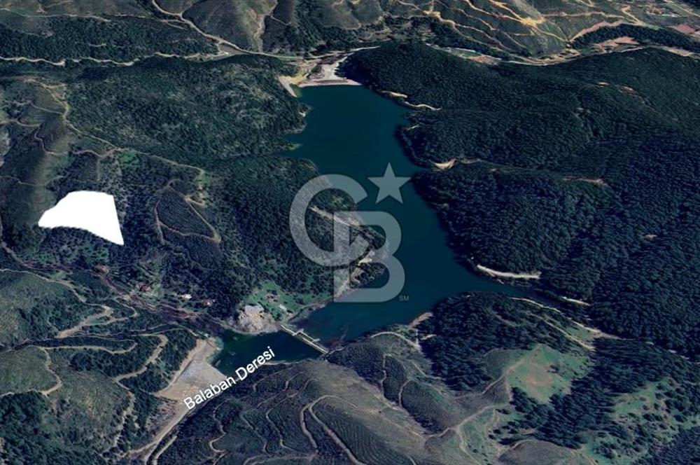 CB Armoni'den Menderes Yeniköy'de Organik Tarım Alanı Zeytinlik 