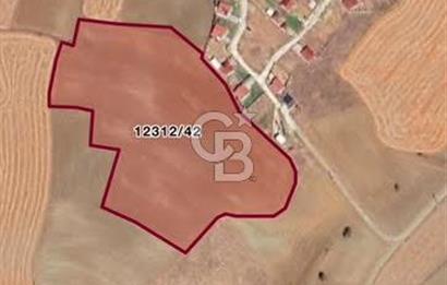 CB MARS'TAN ESKİŞEHİR KAVACIK'TA DEĞERLİ TARIM ARAZİSİ