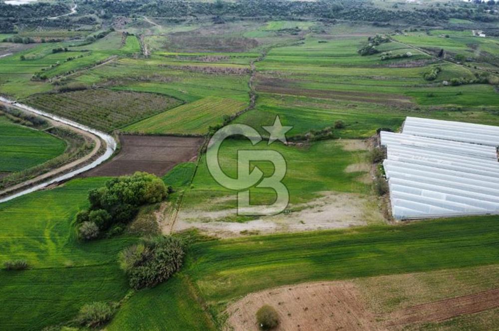 SERİK YUKARICATMA 10600 M2 ARAZİ 